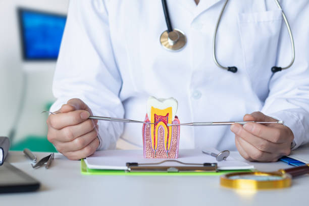 Best Urgent Care for Lost Fillings or Crowns in Brookhaven, MS